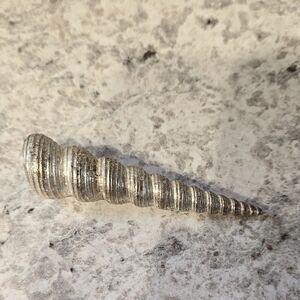 Silver Plated Turritella Communis Spiral Sea Shell Ornament